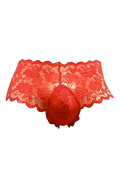 Special Panties 14 (pink_ladygaga_REDlace_AMAZUK)